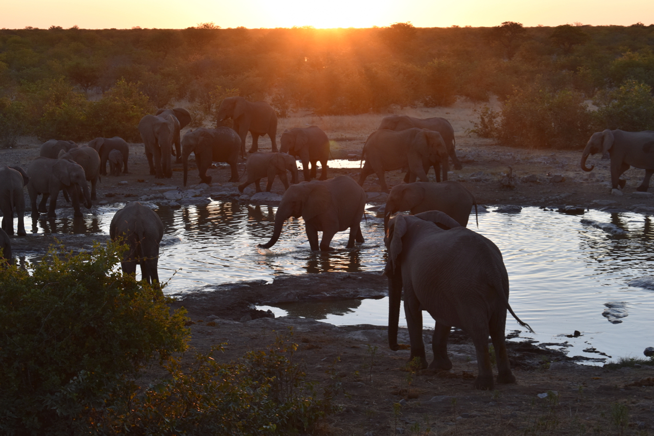 Namibia: Etosha/The Caprivi Strip