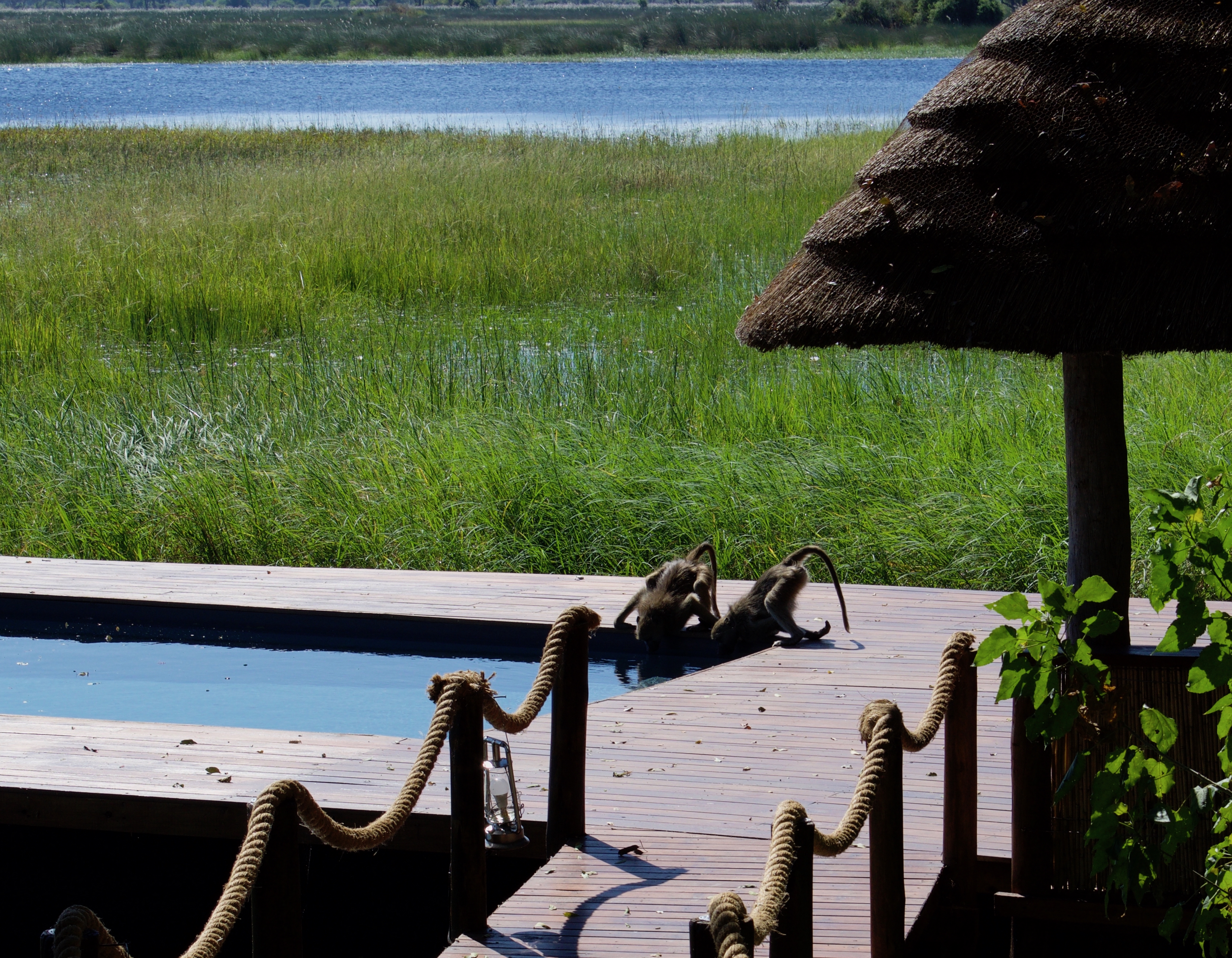 Botswana: Okavango Delta